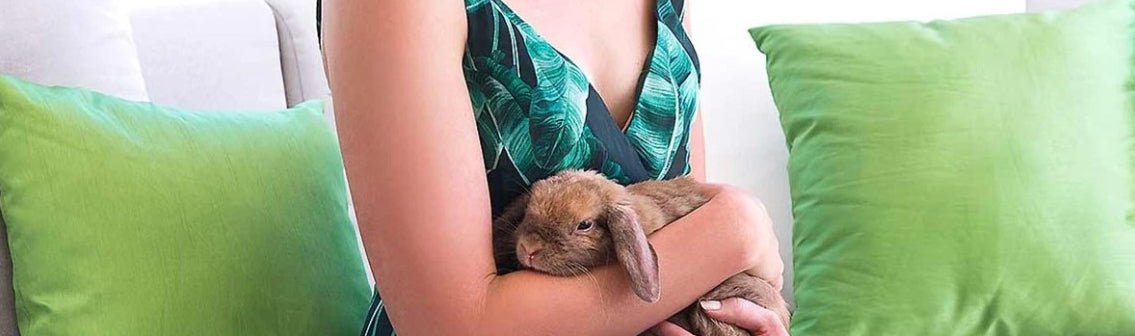 What are vegan beauty products and why should I use them? - Dianne Caine Australia